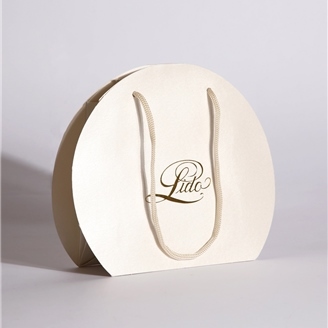 Trying this TikTok Trend Branded Paper Bag DIY Into A Handbag  YouTube