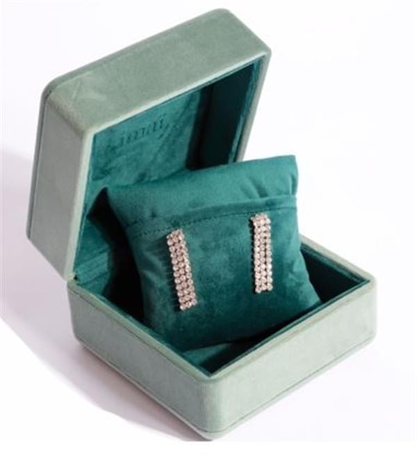 earring cases