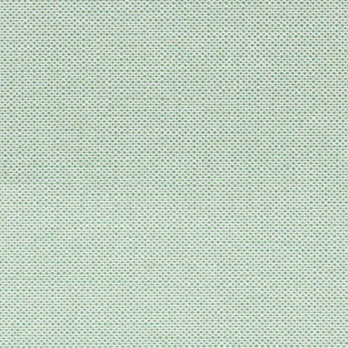 Linen VERDE CHIARO 5211