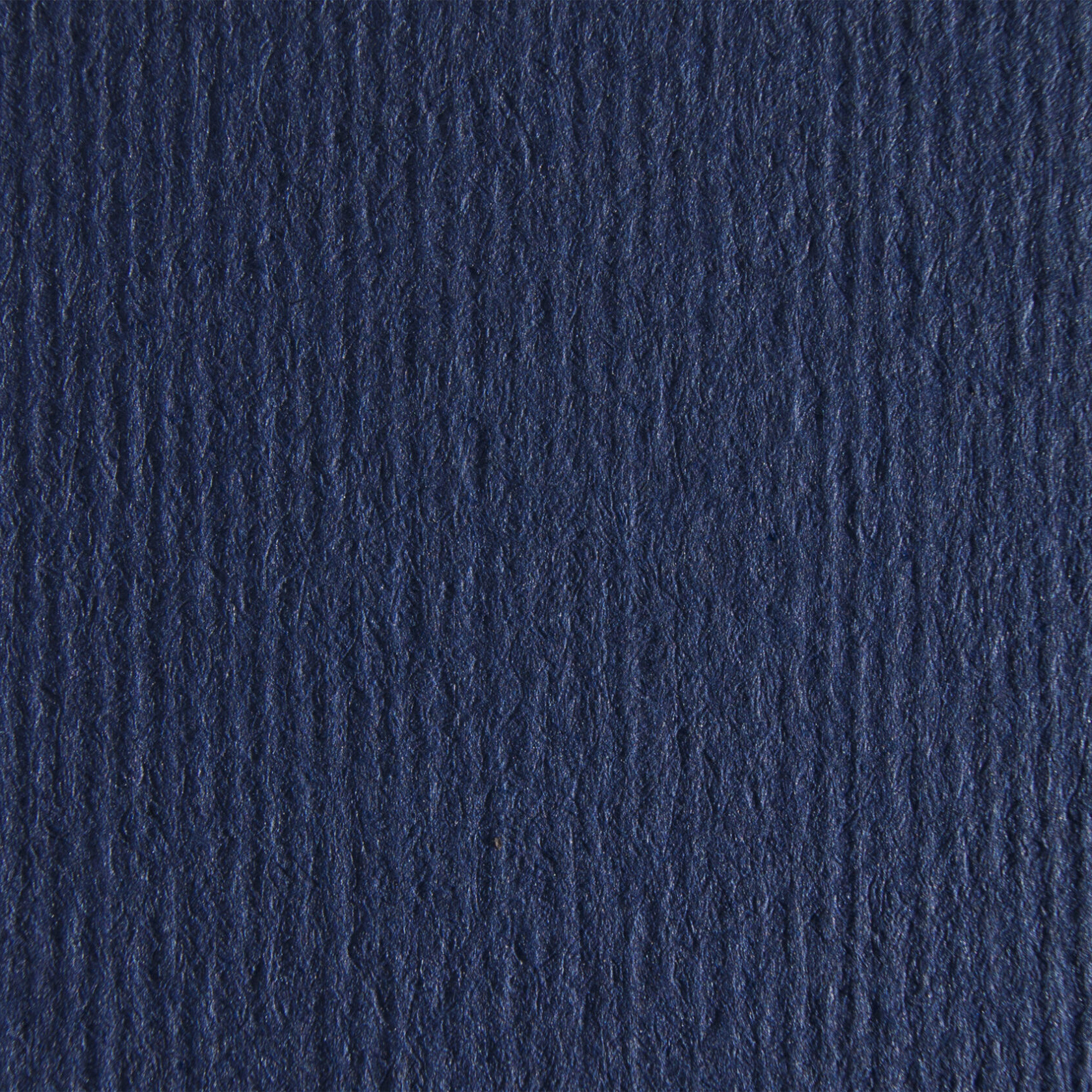 Nettuno BLU NAVY 038